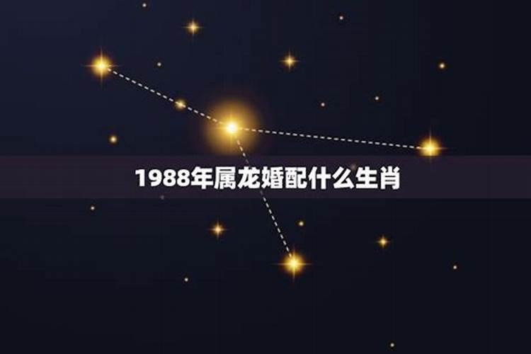 1988年属龙配什么属相好