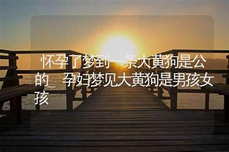 合婚钻石级婚姻是什么意思