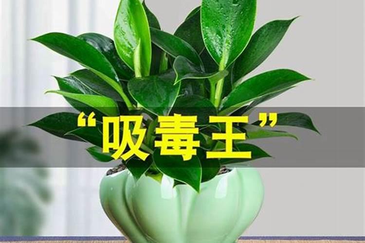 中秋节哪里玩适合孩子