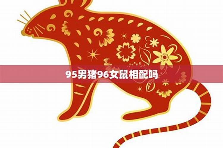 猪和鼠相配吗婚姻爱情