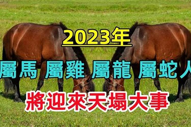 2021属马天塌大事