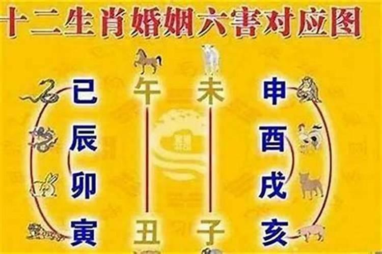 八字盘该怎么看懂