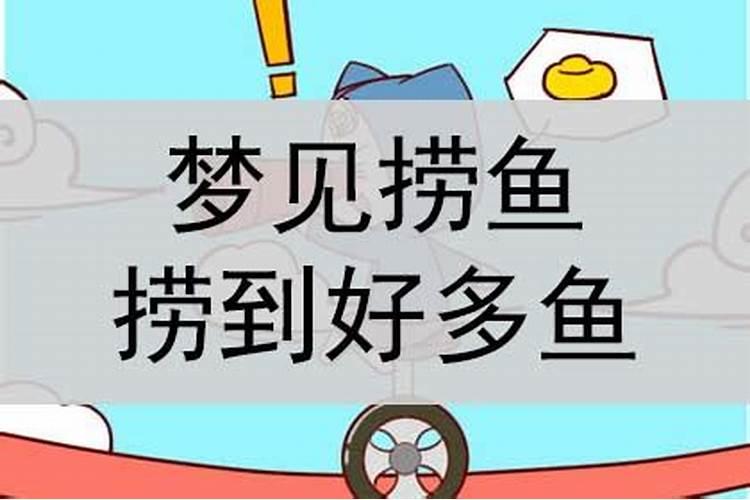 梦到老公捞到很多小鱼