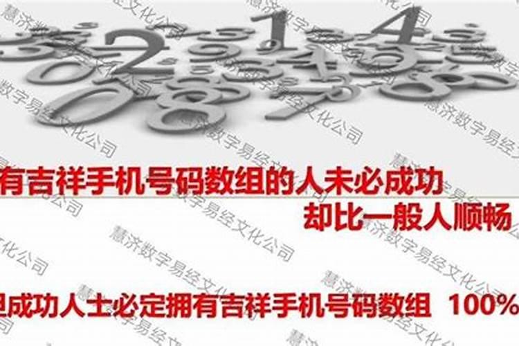 12生肖终身幸运数字