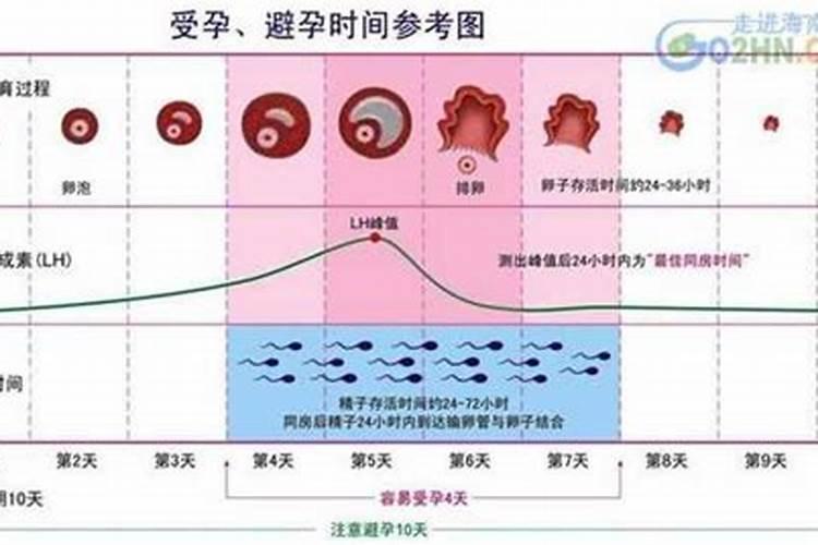 三月十五号来月经排卵日是什么时间啊