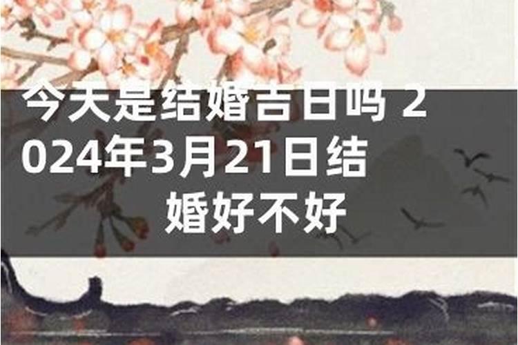 今日是结婚吉日吗