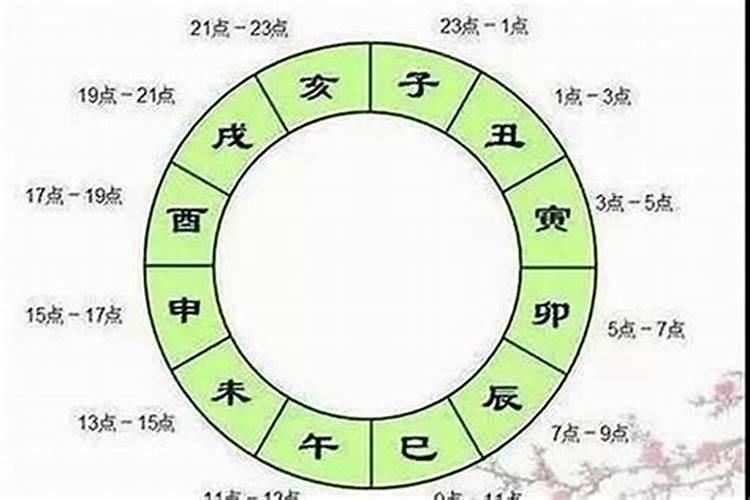 八字冲猪什么意思