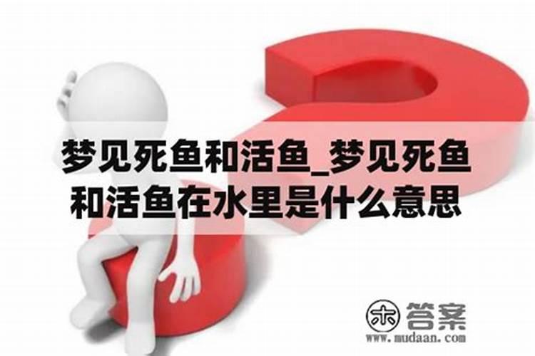 老人梦见死鱼是什么意思