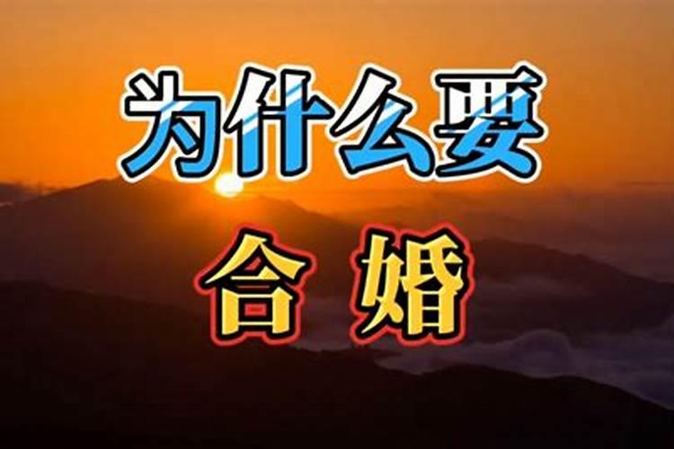 八字日支犯太岁是什么