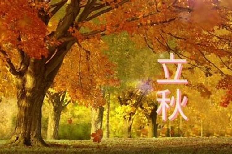 元宵节是几月几日可以干什么