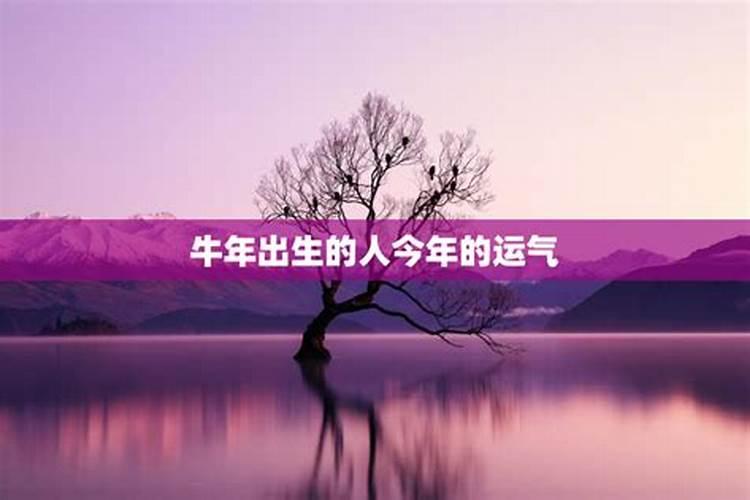 梦见上学要迟到很着急