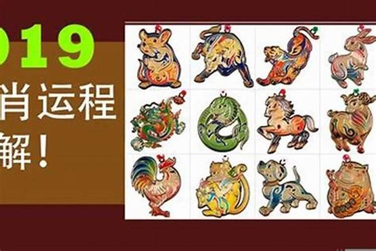 属猪跟属鼠的八字合不合婚