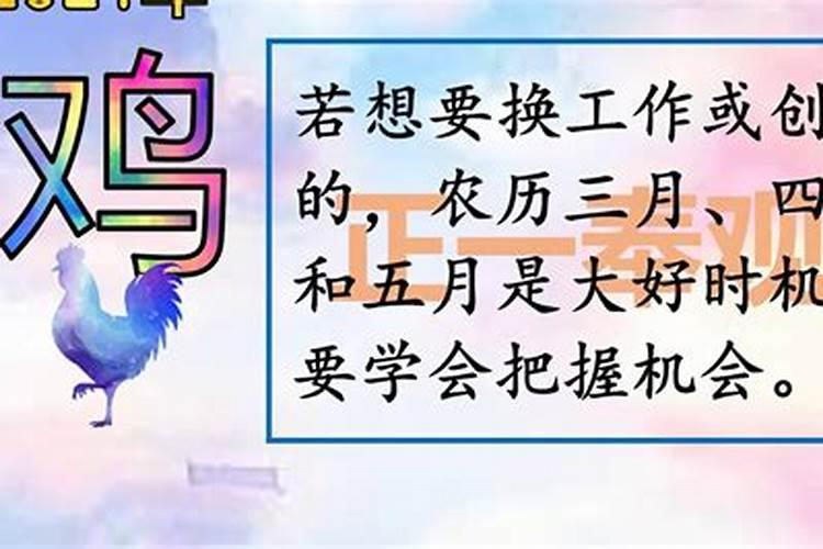 属鸡2021年12月运势完整版