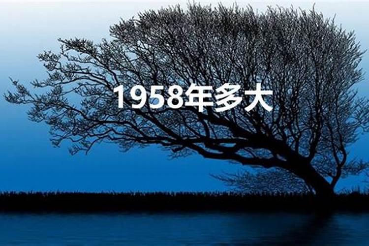 1958年属狗的2021年多大