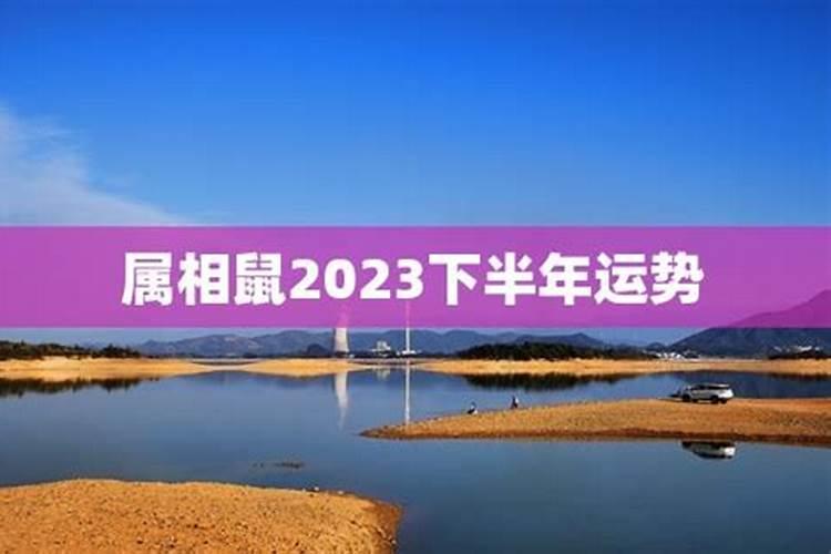 1977年属蛇2023年运势如何