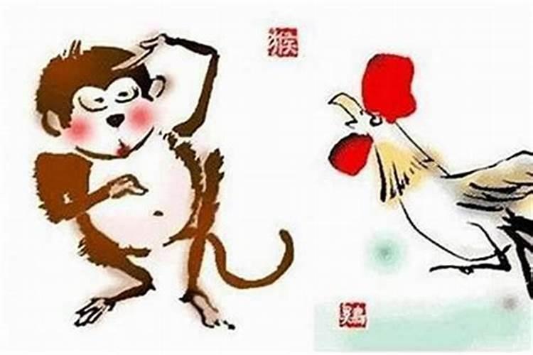 两个属猴的人在一起合婚吗