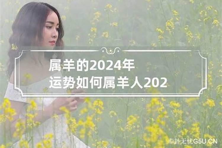 2024属羊人全年运势如何