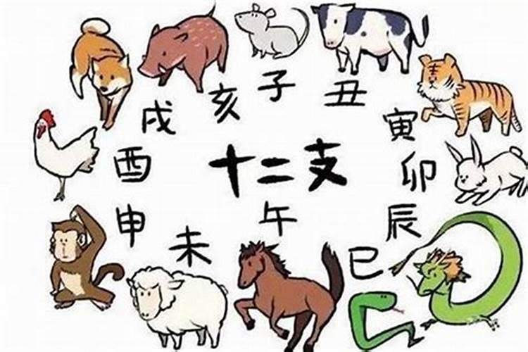 仙人的生肖是什么