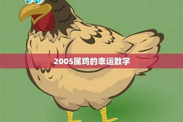 属鸡的今年幸运数字和颜色