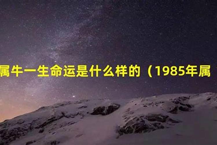 属羊五月运势2021