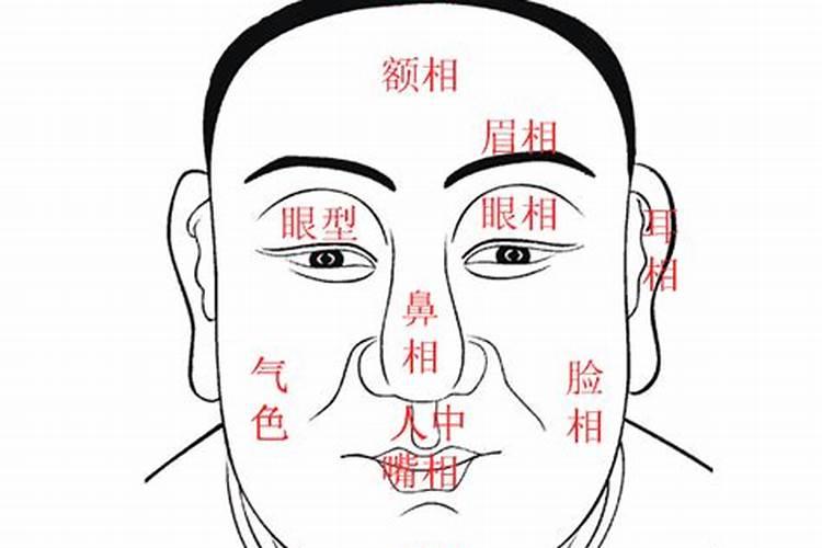 命中无子嗣的八字特点