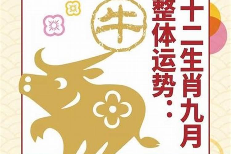 6月运势生肖牛