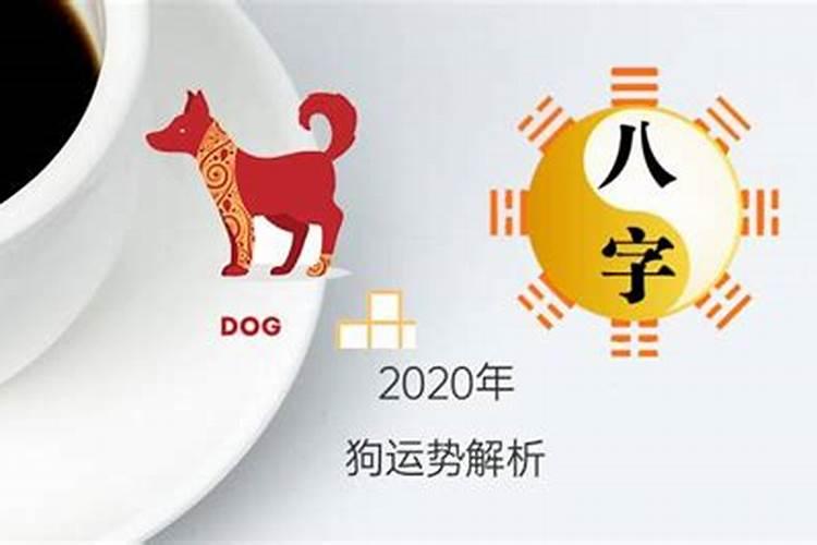 82属狗2020年运势及运程每月运程