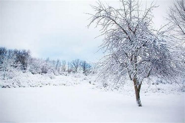 女人梦见下雪是什么意思解梦