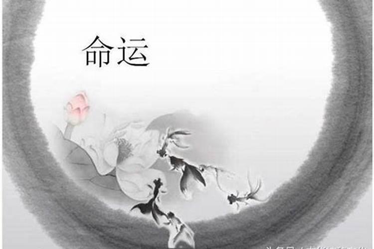 清明节送花来历是什么