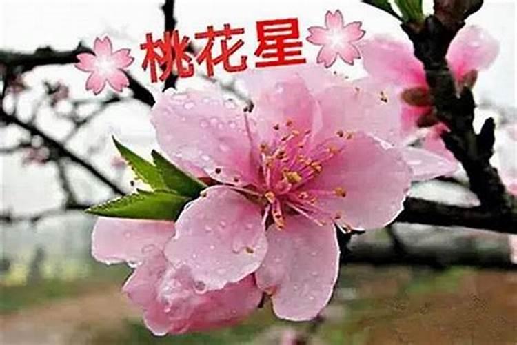 怎样从八字看桃花