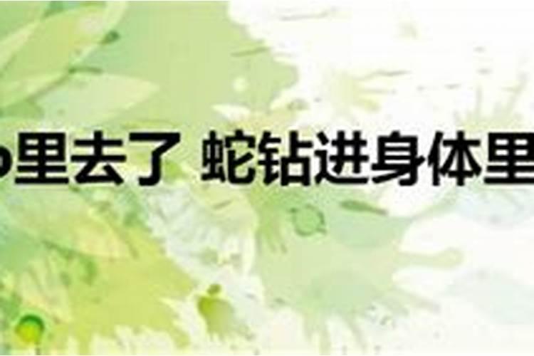 梦见蛇钻到自己身上预示着什么