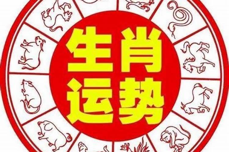 犯太岁是哪些属相