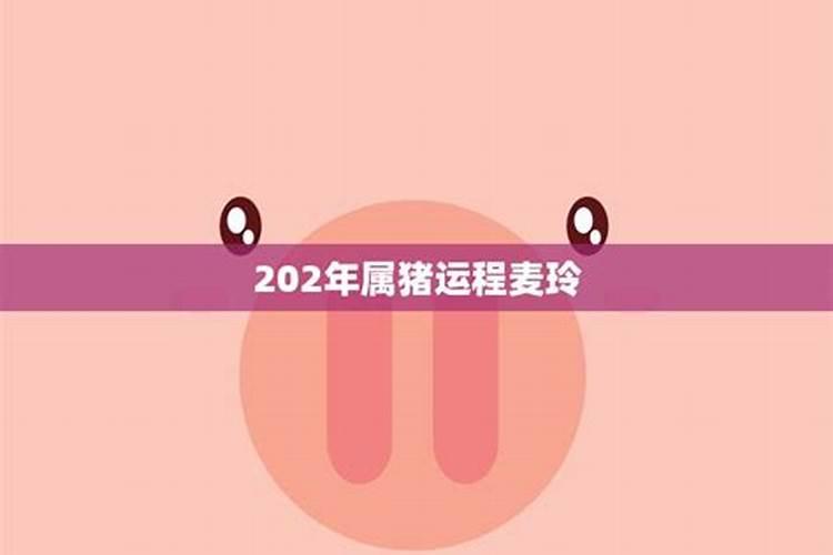 猪年运势2023年运程麦