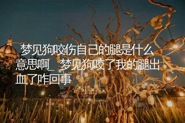 梦到狗咬我出血了怎么回事