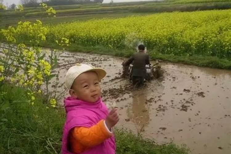 梦见回到村里面