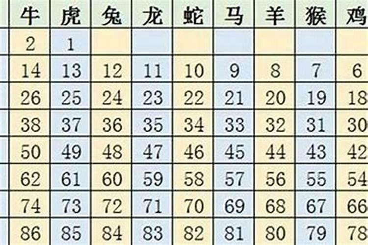 12生肖排序数字表2023