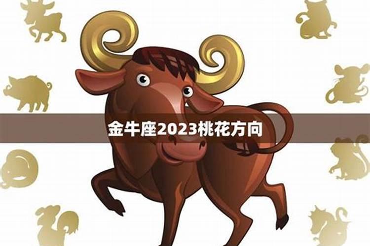 2023年金牛星座运势