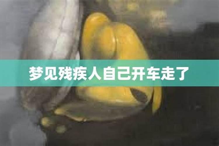 梦见别人开车走