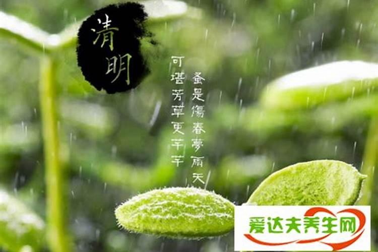 清明节能不能挂纸币