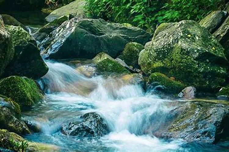 梦到沟渠流水