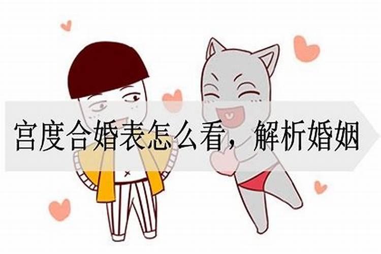 兔男猪女合不合