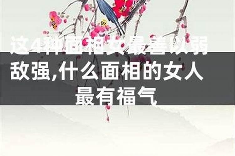 什么八字女人最有福气