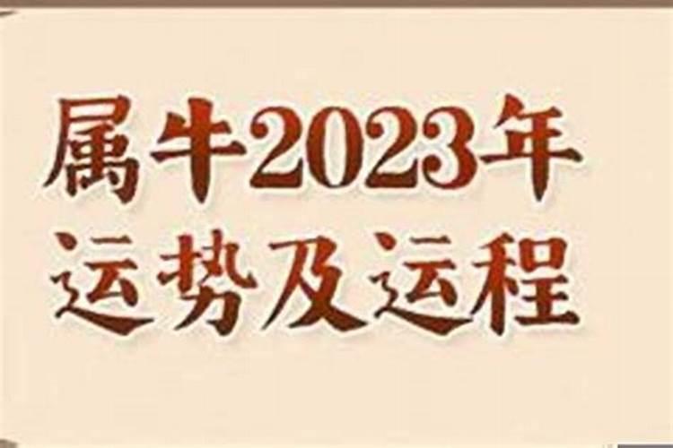 1973年属牛人2023年运势运程每月运程