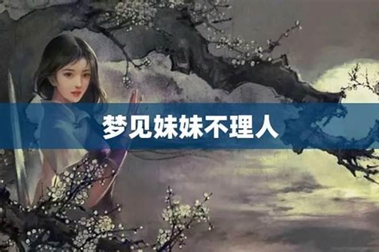 梦见妹妹看着我不理我