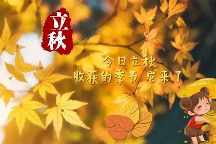 今年几号几点立秋呢