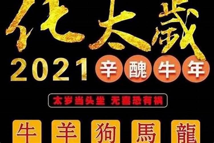 今年太岁不合的属相