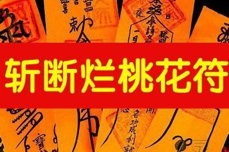 夏至不可以干什么