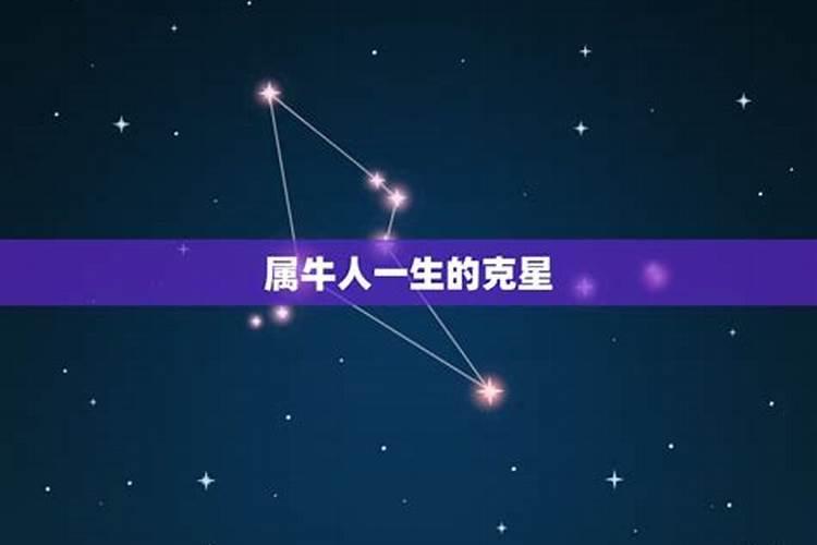 属牛人的克星是什么生肖