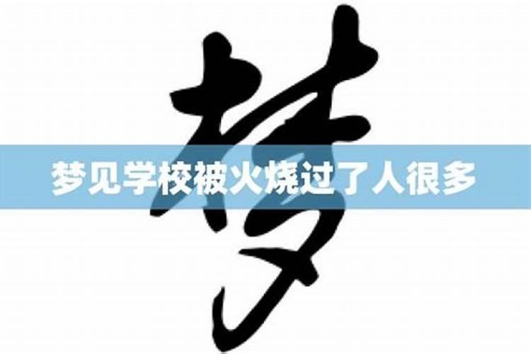 梦到学校被炸了,但自己还活着