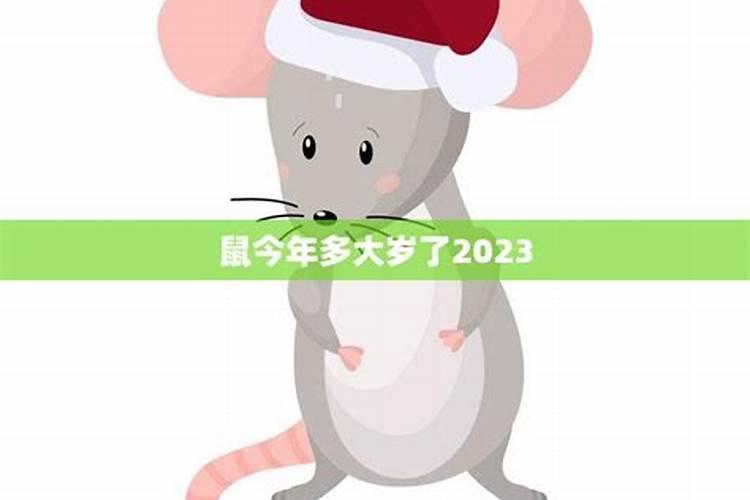 2020生肖鼠今年多少岁